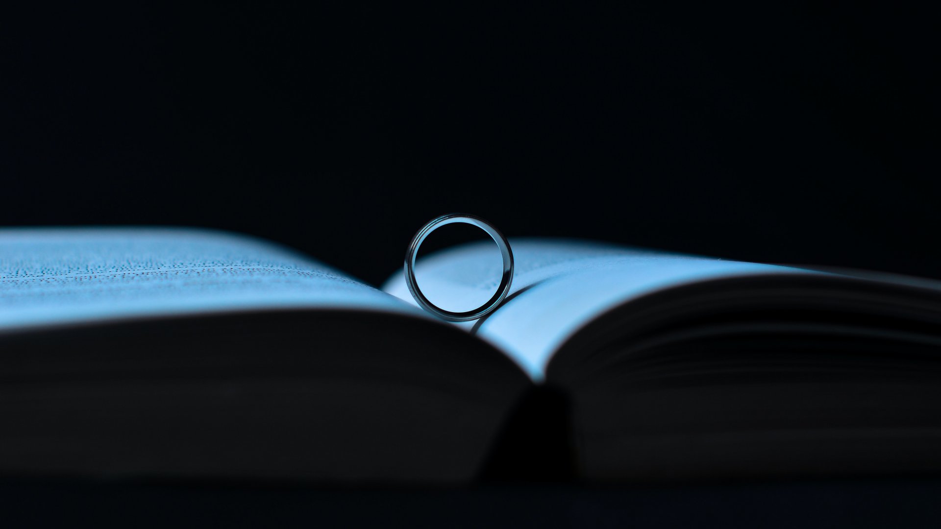 pexels-joe-arts-3646901